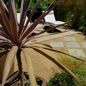 Decomposed Granite with diamond-pattern paver placement