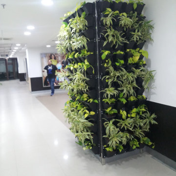DELL INTERNATIONAL - VERTICAL GARDEN