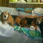 Photo de Sharon Craig