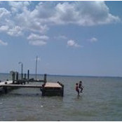 Elise Blaese's photo