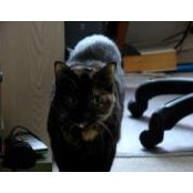 Susan Nelson's photo