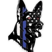 Dino Isgro's photo