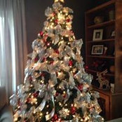 Cora-Lou Cairnes's photo