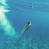 Courtney Cox's photo