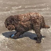 Johnathon Gallagher's photo