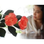 Thuy Dungs foto