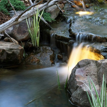 Lake Wylie NC backyard fish pond installation