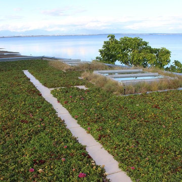 Boundary Bay Beach Home