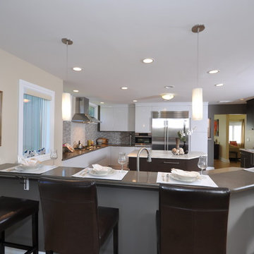Contemporary Kitchen Addition
