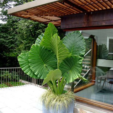 Container Planting Designs