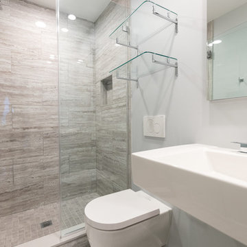 Vienna Modern Master & Guest Bathroom Remodel
