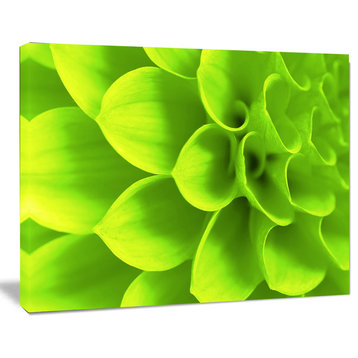 Bright Green Flower Petals, Floral Canvas Art Print, 40"x30"