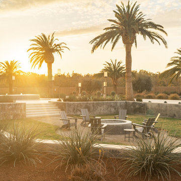 Mid-East Modern