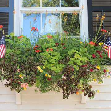 Window Boxes / Containers