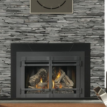 Napoleon 40,000 BTU Infrared Large Deluxe Fireplace Insert with Night Light Radi