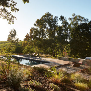 Healdsburg House Pool