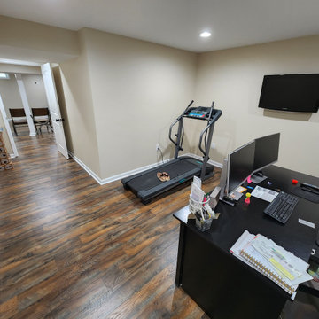 Basement Finish with Full bathroom addition and Office