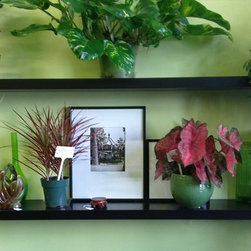 The store - Products