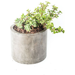 Industrial Outdoor Pots And Planters by Repose Home & Garden