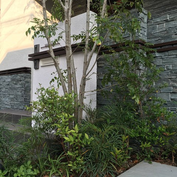 自然石タイルと植栽の爽やかな組み合わせ