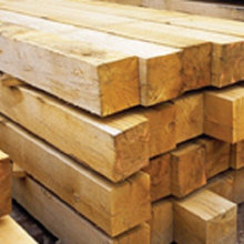 American Red Oak