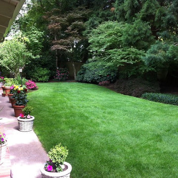 Landscape Maintenance