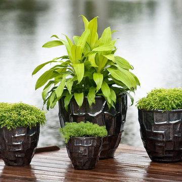 Palm Beach Container Gardens