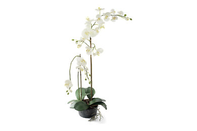 Artificial White Orchid for Floral Display