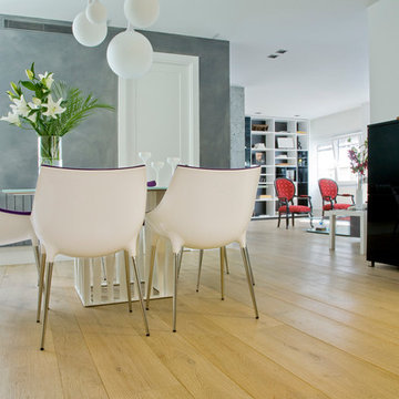 Modern cosmopolitan flat