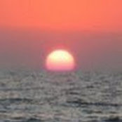 Ayesha Devgan's photo