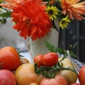 Jeanne Sommerfield's photo