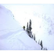 Thomas Genn's photo
