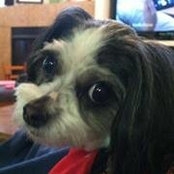 Nancy Williamson's photo