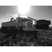 Jack Karlin's photo
