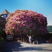 Elle Brovold's photo