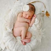 Laura Pellechia Carroll's photo