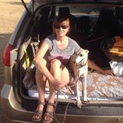 Foto von Whippet Good