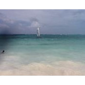 Elaine Courval's photo