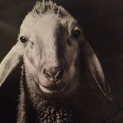Julia Kemp's photo