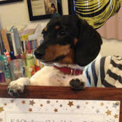 Bronie Massey's photo