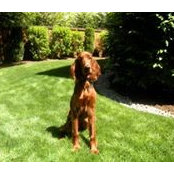 Priscilla Kaufmann's photo