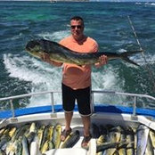 Todd Hoge's photo