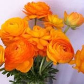 Heather Blumenfeld's photo