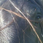 Natasha Bogaert's photo