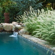 Pool Ideas