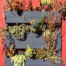 Vertical Pallet
