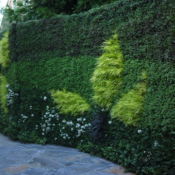Living Wall