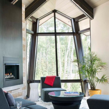 Vintage Woods Mountain Star