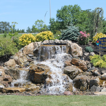 Pond Paradise Designs assorted photos