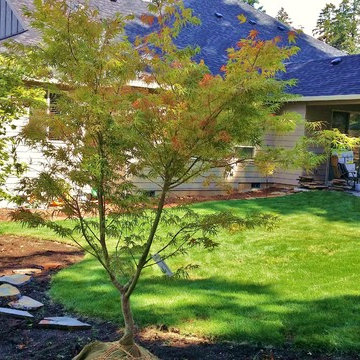 EDGECLIFF LANDSCAPE MAKEOVER